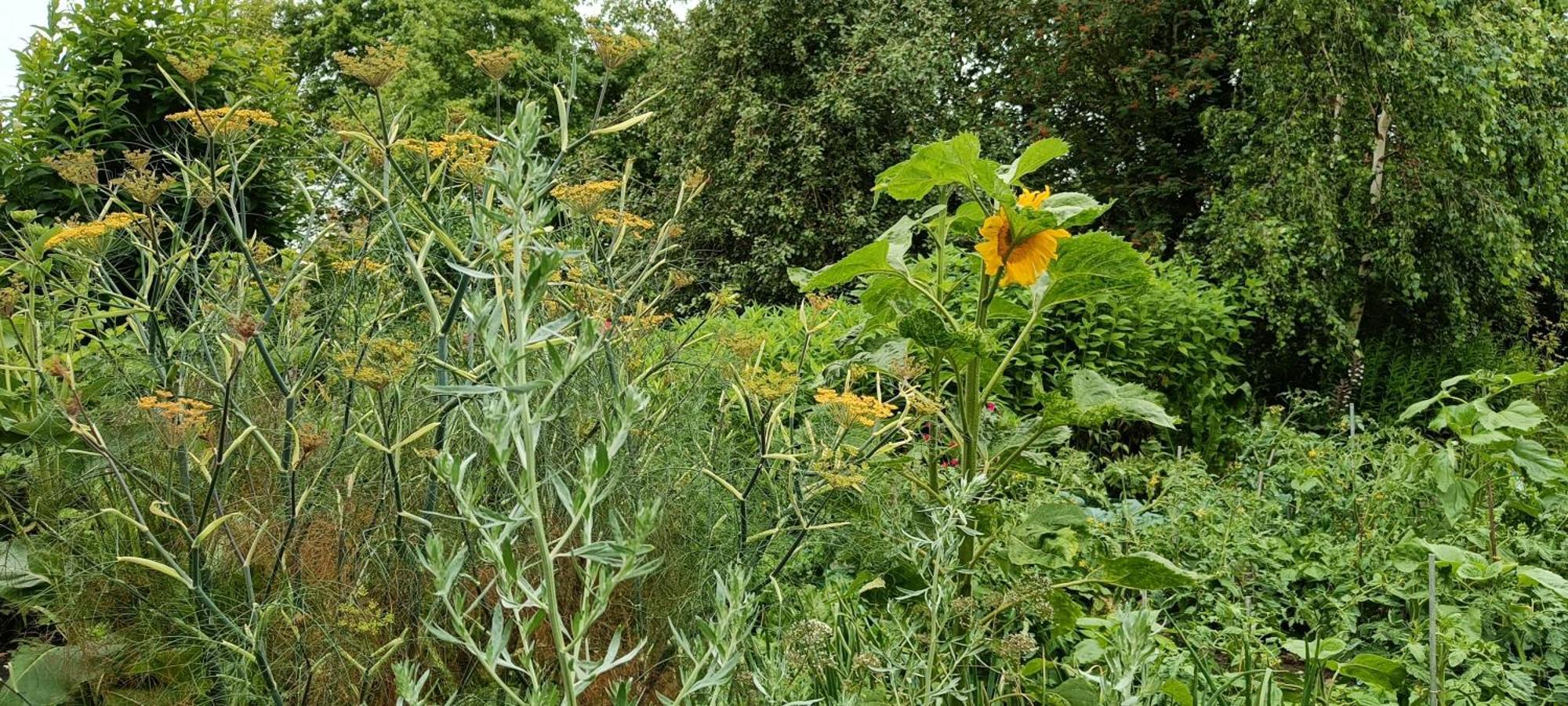 Апартаменты Bliss - Gate To The Flemish Ardens Ауденарде Экстерьер фото